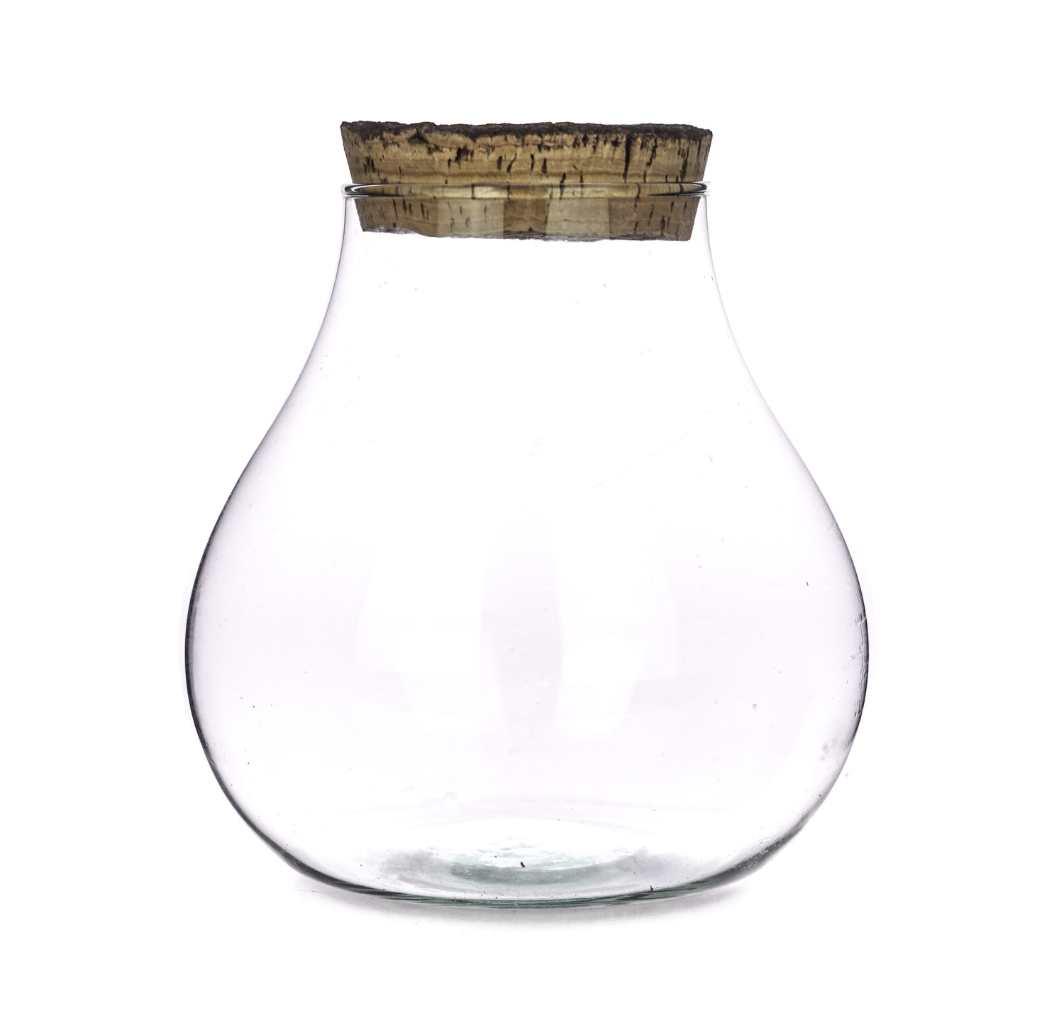 Glass terrarium W594+bark cork H19cm D17cm Terrarium kits