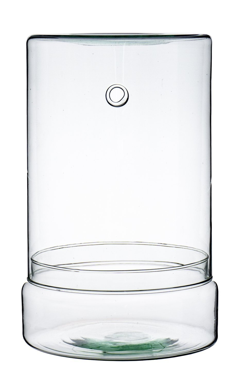 Glass terrarium egg square W592 / cylinder H 22.5 D 17 Vases