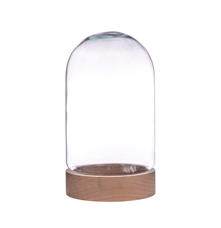Glass cover with wooden beech stand W-580B H:25cm D:17cm