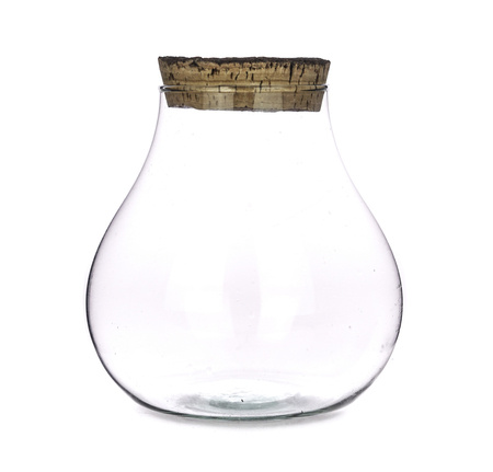 Glass terrarium W-594+bark cork H:19cm D:17cm