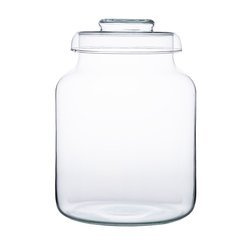 Glass jar vase H:28cm D:19cm W-395C1+glass cover