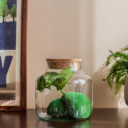 Glass jar vase H:21cm D:19cm W-395G+coarse-grained cork