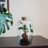 Glass vase W-807C+cork H:25cm D:15cm