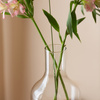 Glass bottle vase W-394A H:33cm D:15cm 