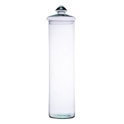 Glass cylinder vase+lid H:50cm D:14cm