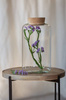 Glass terrarium vase  W-606C+cork H:25cm D:15cm