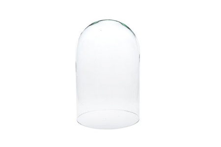 Glass dome H:38cm D:22cm