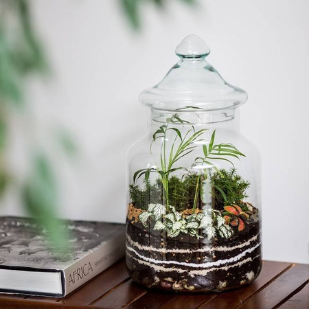 Glass jar vase W-395C1 + glass lid