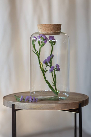 Glass terrarium vase  W-606C+cork H:25cm D:15cm