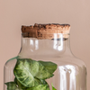 Glass jar vase W-395K1 + bark cork H:27cm D:14,5cm