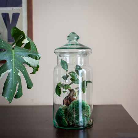 Glass jar vase H:32cm D:14cm W-332N1+glass cover