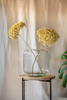 Glass vase jar W-719 H:19cm D:19cm SALE