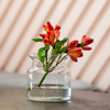 Jar vase H:15cm D:15cm
