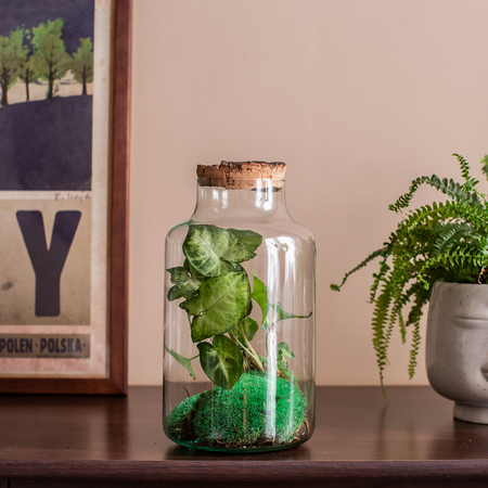 Glass jar vase W-395K1 + bark cork H:27cm D:14,5cm