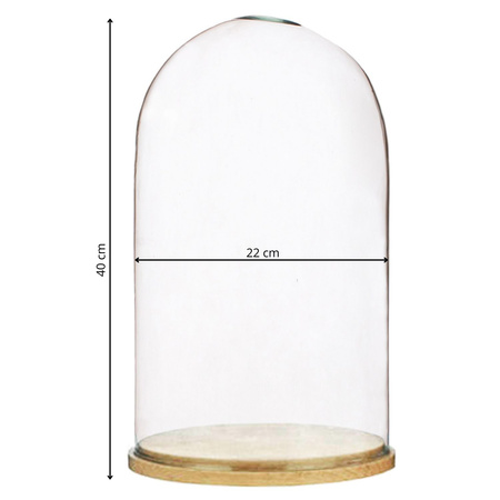 Glass cover with wooden beech stand W-315G H:38cm D:22cm