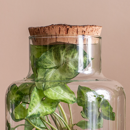 Glass jar vase W-395K2 + bark cork H:20cm D:14,5cm