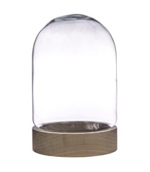 Glass cover with Wooden beech stand W-580A H:20cm D:15cm