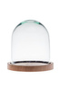 Glass cover with wooden beech stand W-315J H:14,5cm D:13,2cm