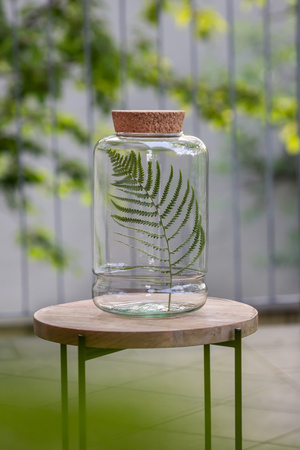 Terrarium glass vase W-588+cork H:26 cm D:17 cm