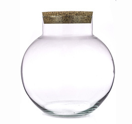 Glass terrarium + cork  W-503A1 H:25,5cm D:25cm