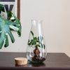 Terrarium glass W-772 side hole H:27cm D:14cm