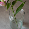 Glass jar vase W-332P6 H:25cm D:15cm