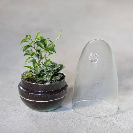 Glass terrarium egg W-542A+W-542 side hole H:25,5cm D:12,8cm SALE