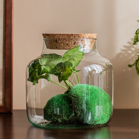 Glass jar vase H:21cm D:19cm W-395G+coarse-grained cork