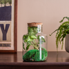 Glass jar vase W-395K2 + bark cork H:20cm D:14,5cm