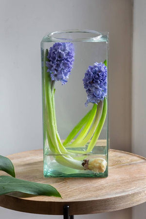 Square glass vase  KW-3 H:25cm D:11,5 OUTLET