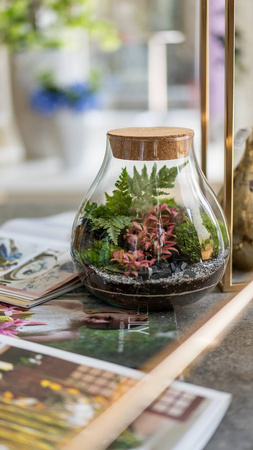 Glass terrarium W-594+cork H:19cm D:17cm