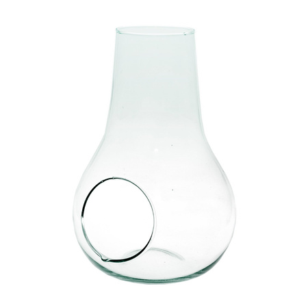 Glass terrarium W-488+side hole H:29cm D:19,5cm