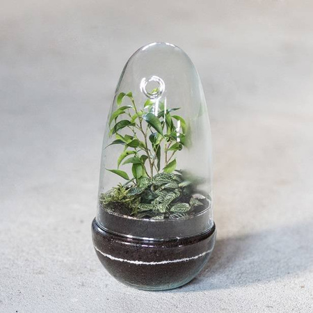 Glass terrarium egg W-542A+W-542 side hole H:25,5cm D:12,8cm SALE