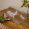 Glass cover with wooden beech stand W-315G H:38cm D:22cm
