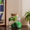 Glass jar vase H:21cm D:19cm W-395G+coarse-grained cork