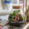 Glass terrarium W-594+cork H:19cm D:17cm