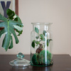 Glass jar vase H:32cm D:14cm W-332N1+glass cover