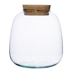 Glass vase W-557A + cork  H:25,5cm D:23cm