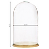 Glass cover with wooden beech stand W-315G H:38cm D:22cm