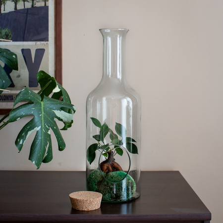 Terrarium glass W-504A side hole+cork H:47cm D:15cm