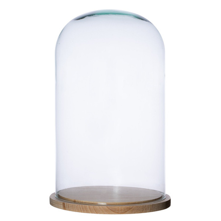 Glass dome W-231G3+wooden base H:38cm D:22cm