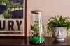 Glass terrarium W-667 H:30cm D:16cm + bark cork