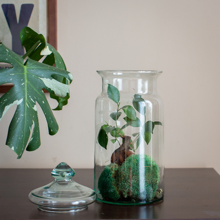 Glass jar vase H:32cm D:14cm W-332N1+glass cover