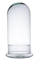 Glass dome W-315E1+cylinder H:40cm D:20cm