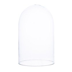 Glass dome W-315M1 H:25cm D:14cm