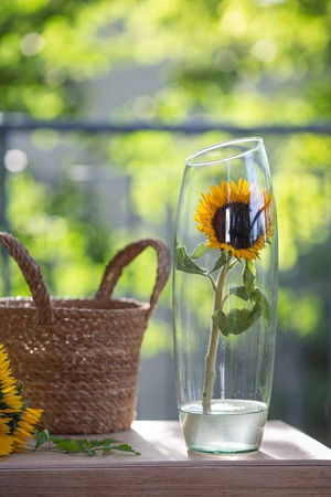 Glass vase W-213C slant H:40cm D:13,5cm SALE