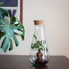 Terrarium glass W-772 side hole+cork H:29cm D:14cm