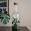 Terrarium glass W-504A side hole+cork H:47cm D:15cm