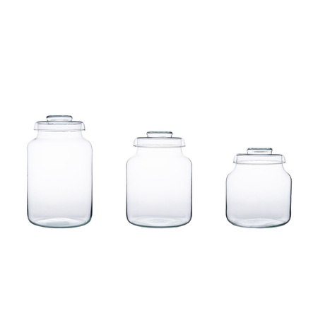 Glass jar vase H:33cm D:19cm W-395C1+glass cover