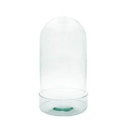 Glass dome W-315E1+cylinder H:40cm D:20cm